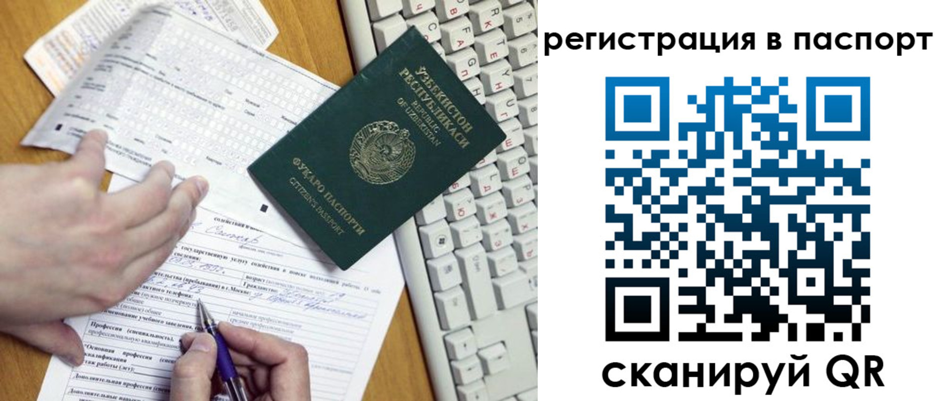 прописка поиск в Купино