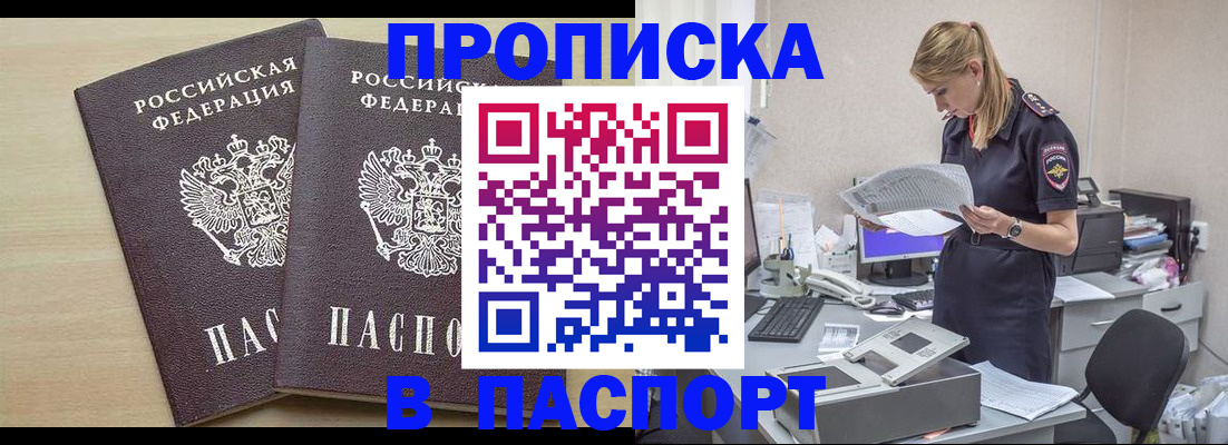 прописка законно в Купино