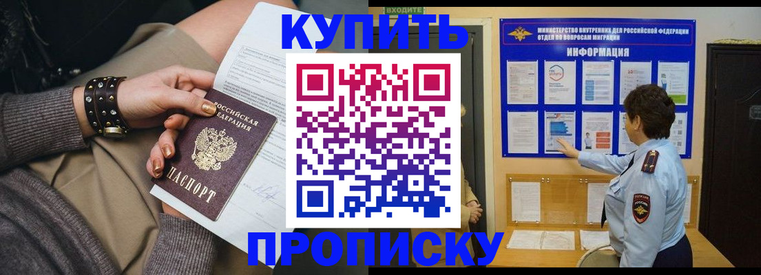 прописка в Купино